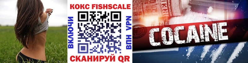 купить закладку  Юрьевец  COCAIN Fish Scale 