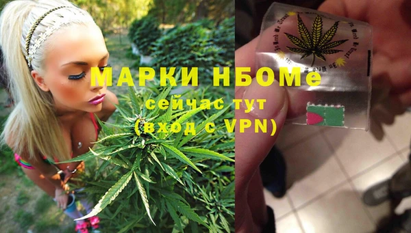 PSILOCYBIN Баксан