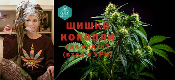 PSILOCYBIN Баксан