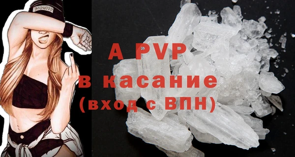PSILOCYBIN Баксан