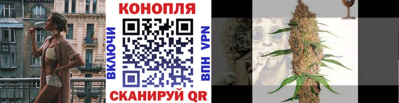 Каннабис сатива  цена наркотик  Юрьевец 